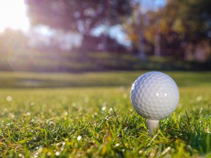 top 6 golf courses near star valley, az