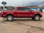 2014 Ford F-150 Platinum